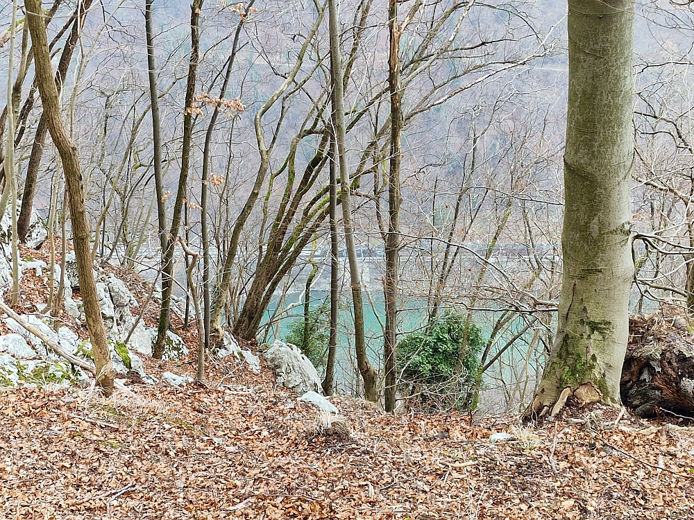 Slika je vidna v Google Chromu.