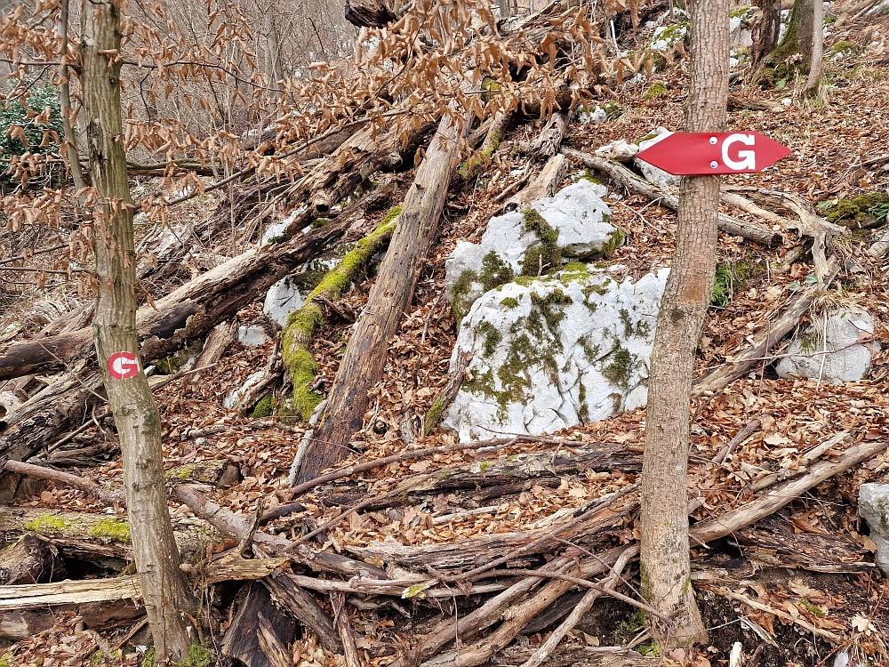 Slika je vidna v Google Chromu.