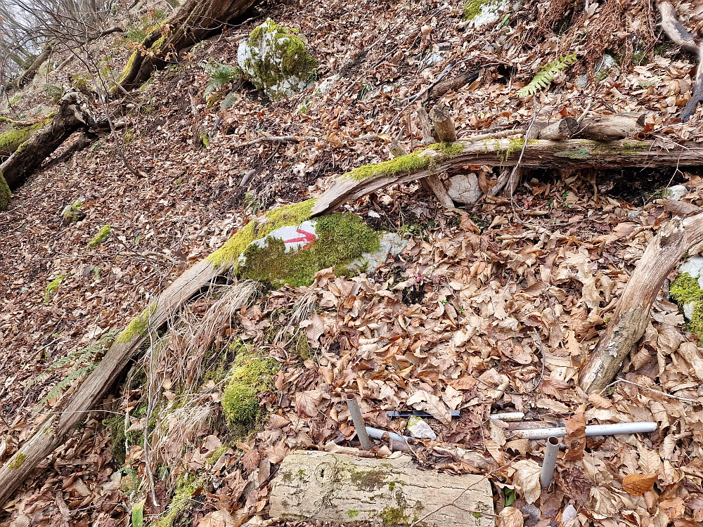 Slika je vidna v Google Chromu.