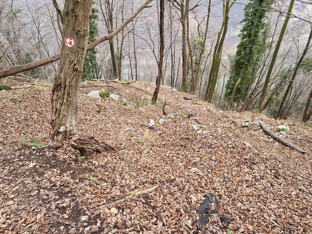 Slika je vidna v Google Chromu.