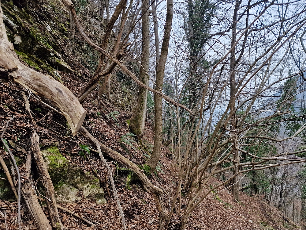 Slika je vidna v Google Chromu.