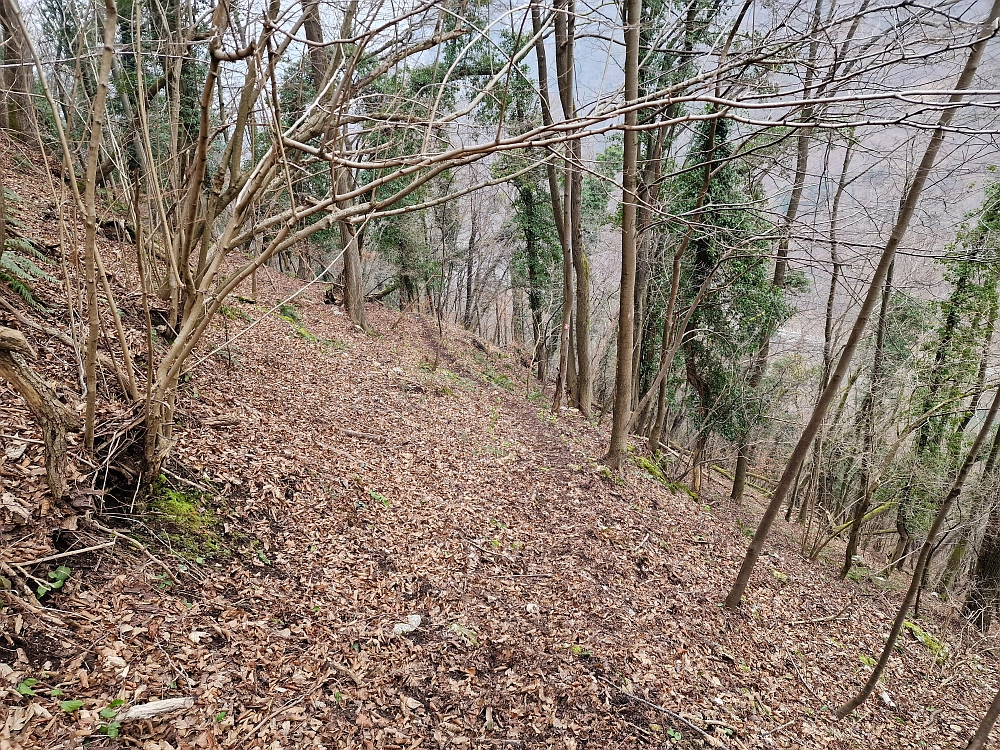 Slika je vidna v Google Chromu.