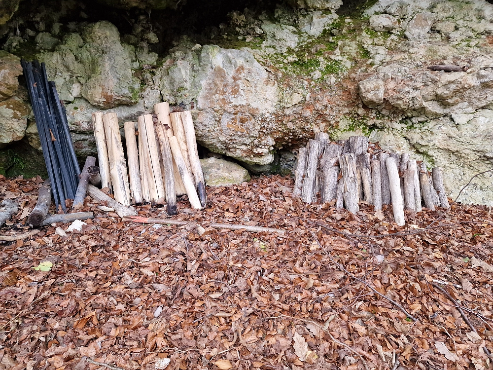 Slika je vidna v Google Chromu.