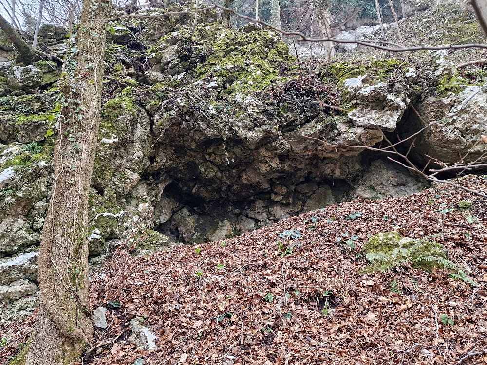 Slika je vidna v Google Chromu.