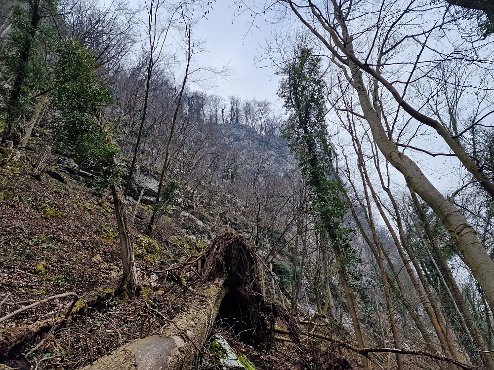 Slika je vidna v Google Chromu.