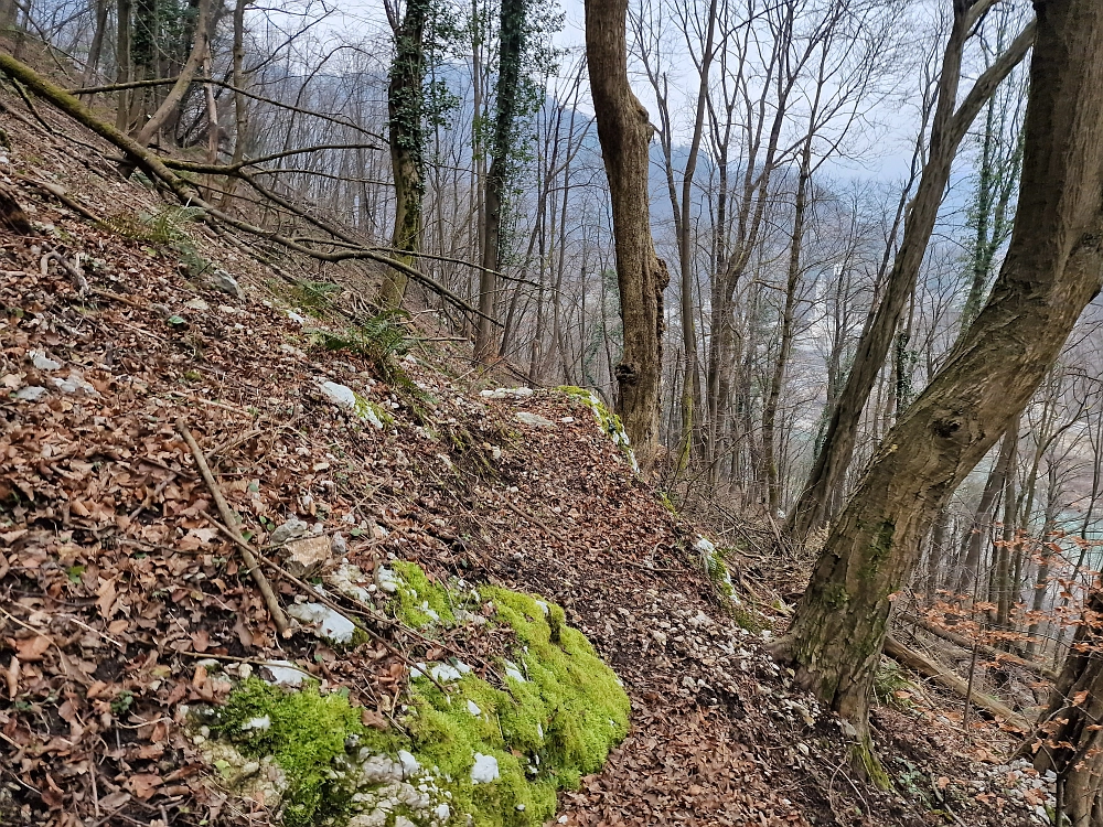 Slika je vidna v Google Chromu.