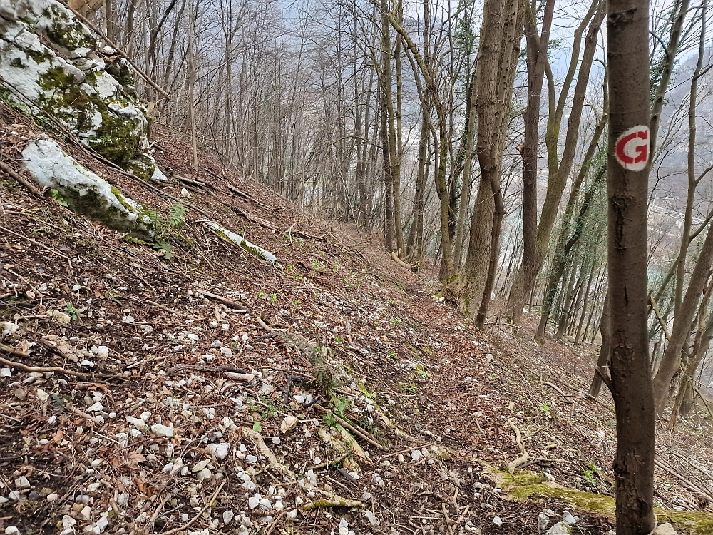 Slika je vidna v Google Chromu.