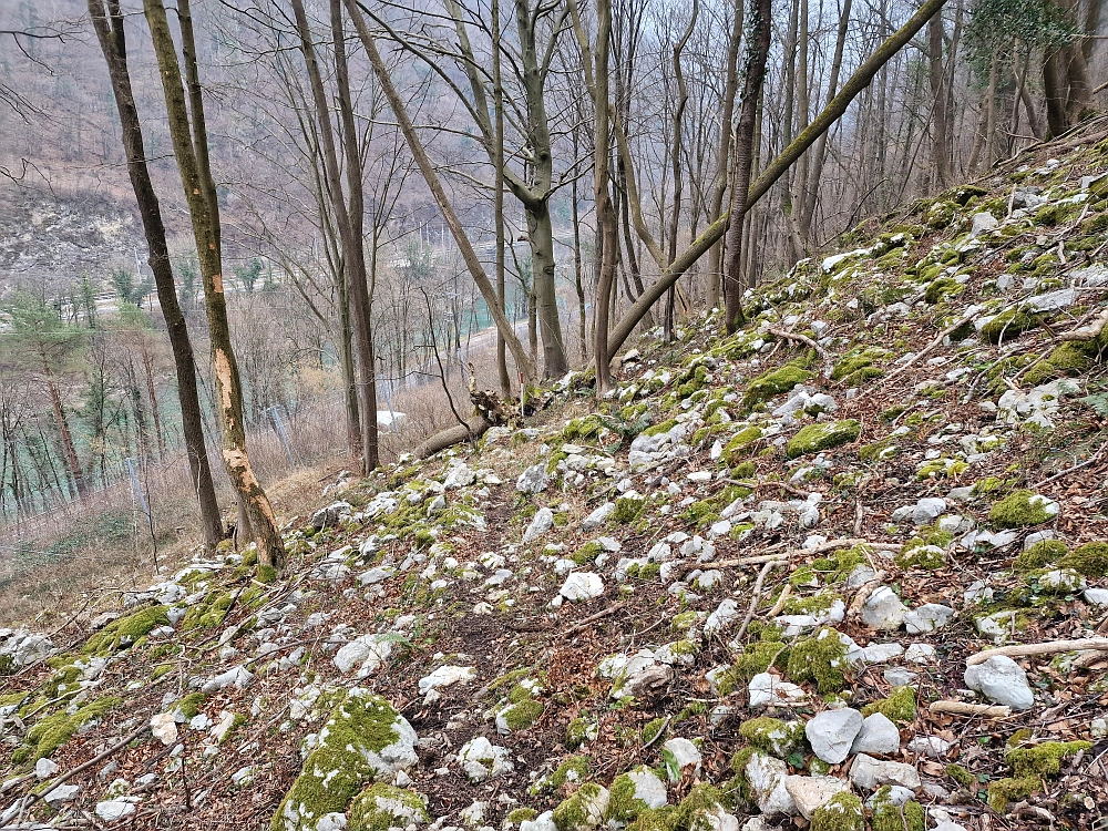 Slika je vidna v Google Chromu.