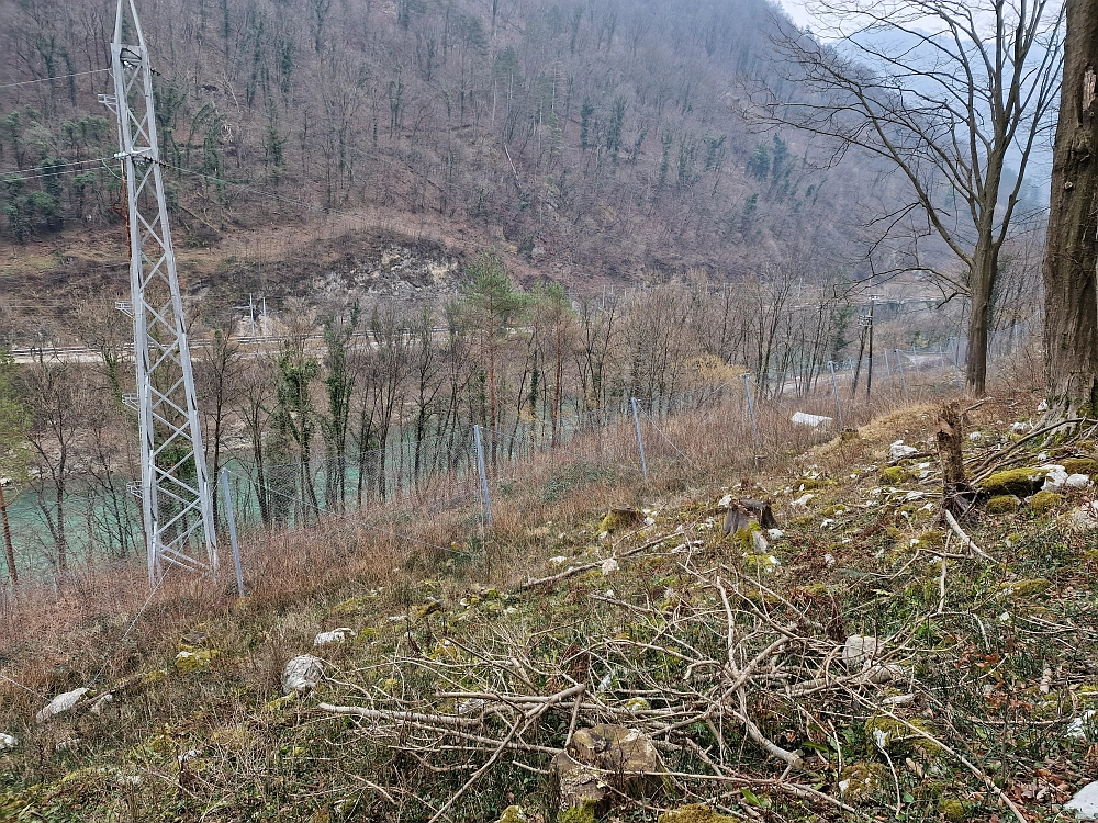 Slika je vidna v Google Chromu.