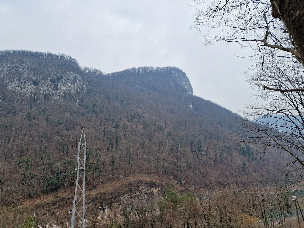 Slika je vidna v Google Chromu.