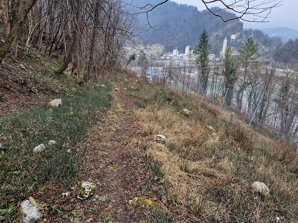 Slika je vidna v Google Chromu.