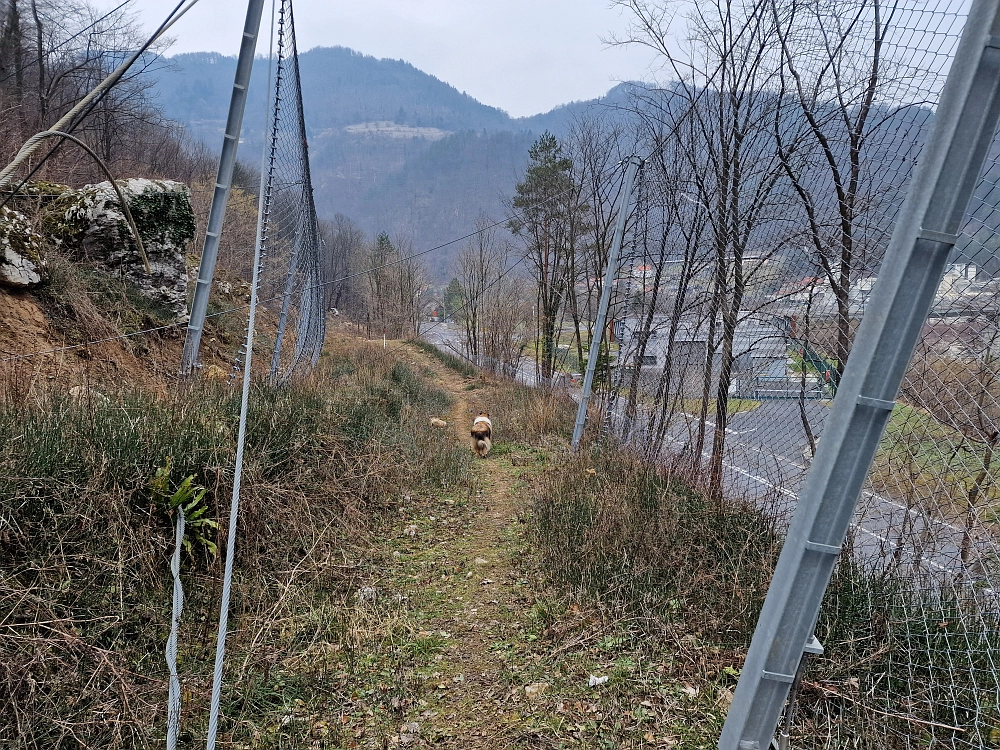 Slika je vidna v Google Chromu.