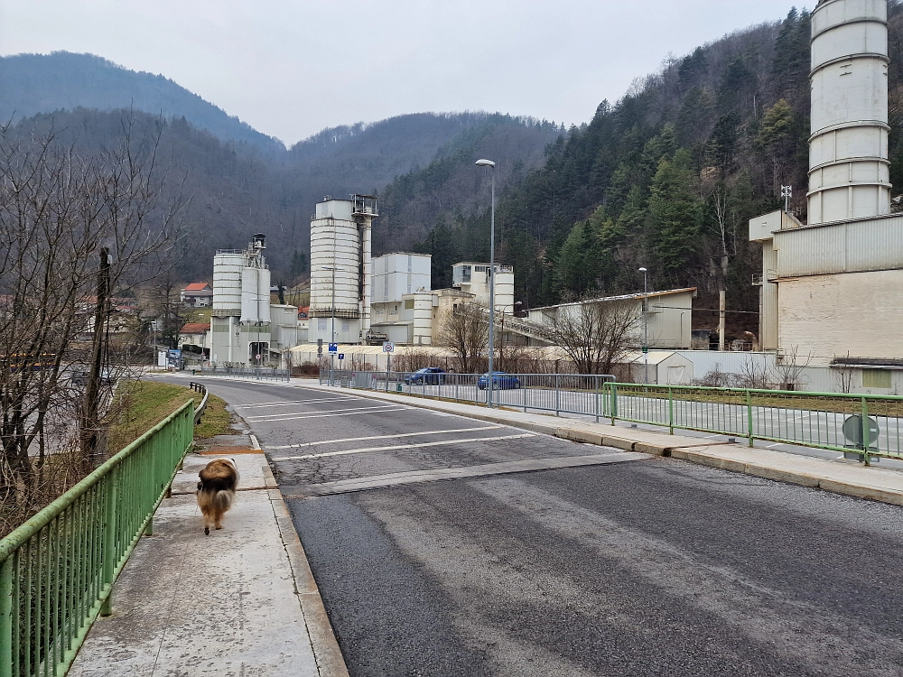 Slika je vidna v Google Chromu.