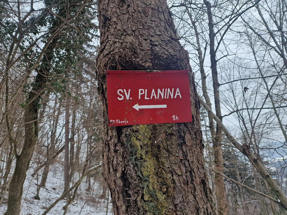 Slika je vidna v Google Chromu.