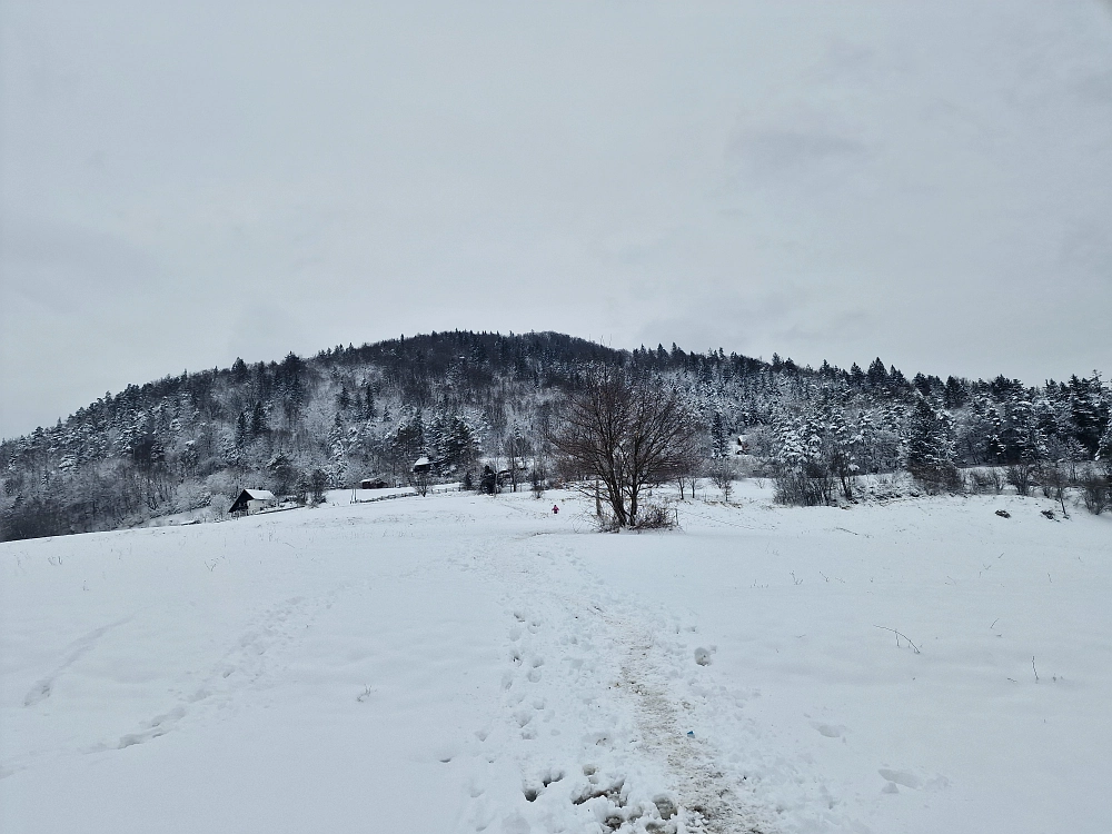 Slika je vidna v Google Chromu.