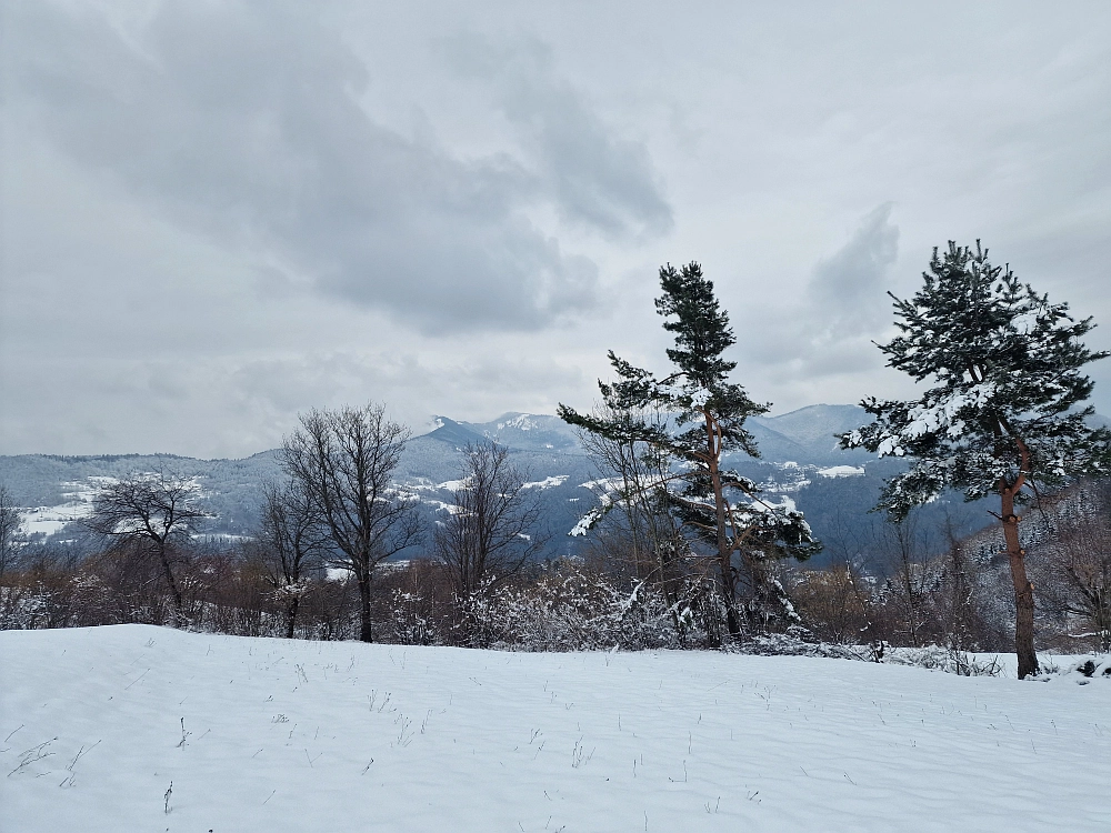 Slika je vidna v Google Chromu.