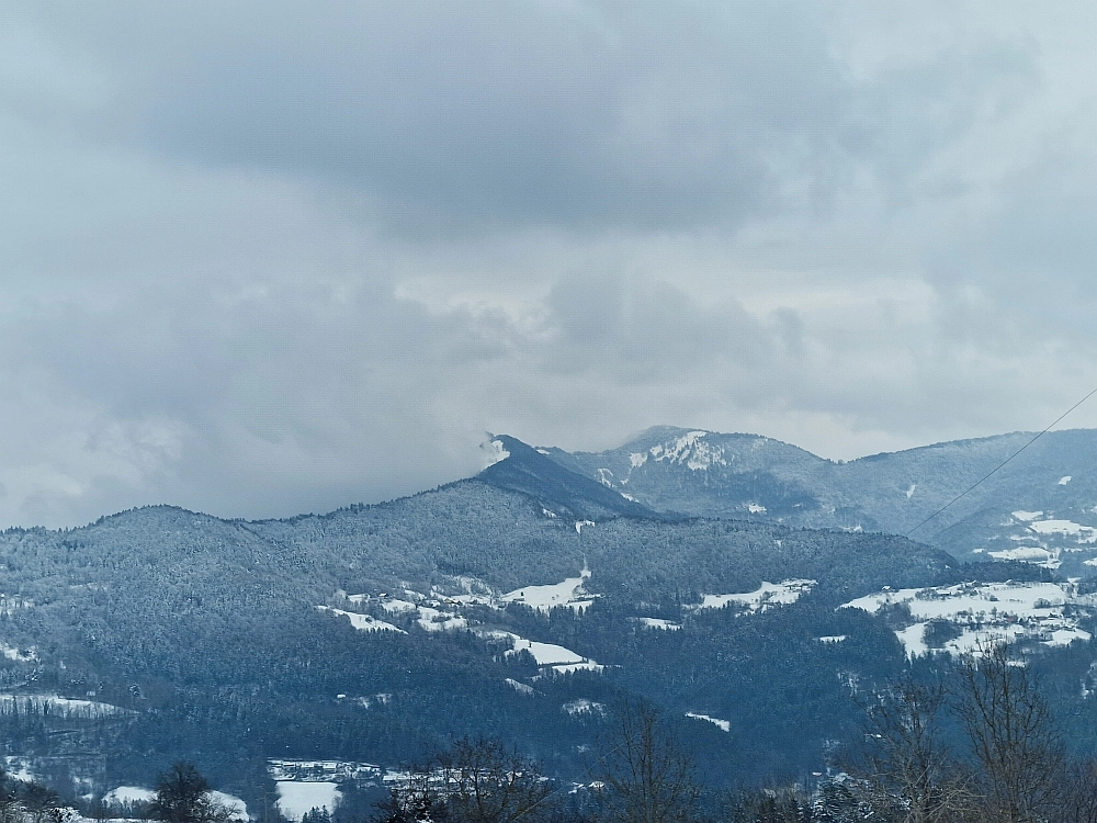 Slika je vidna v Google Chromu.