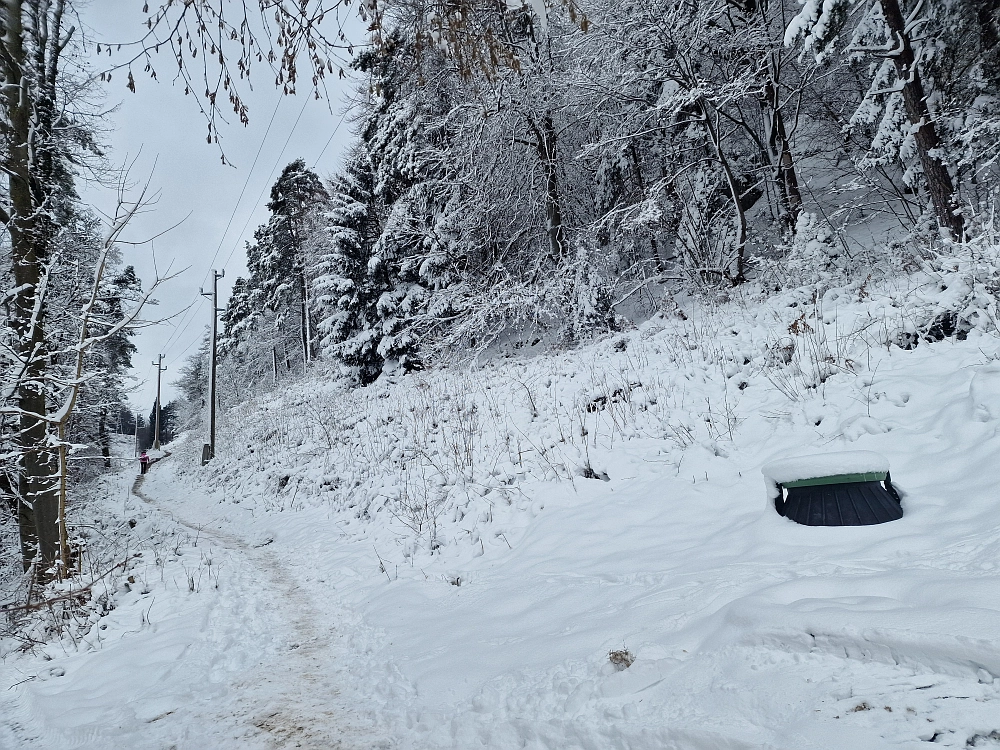 Slika je vidna v Google Chromu.