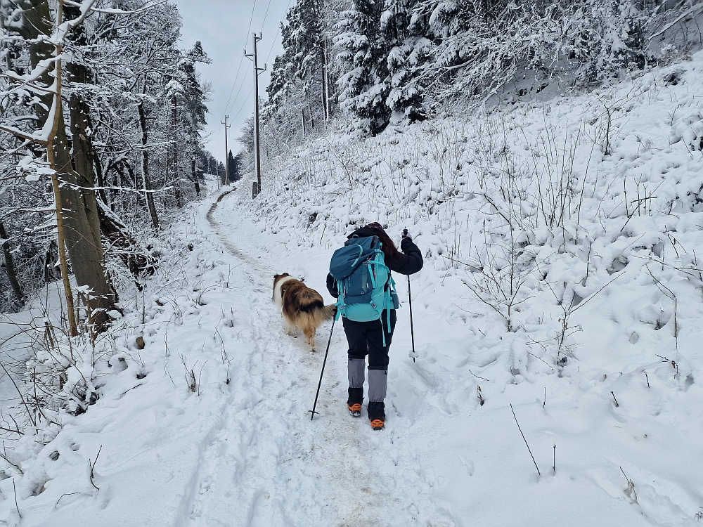 Slika je vidna v Google Chromu.