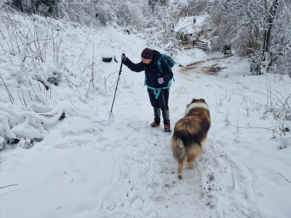 Slika je vidna v Google Chromu.