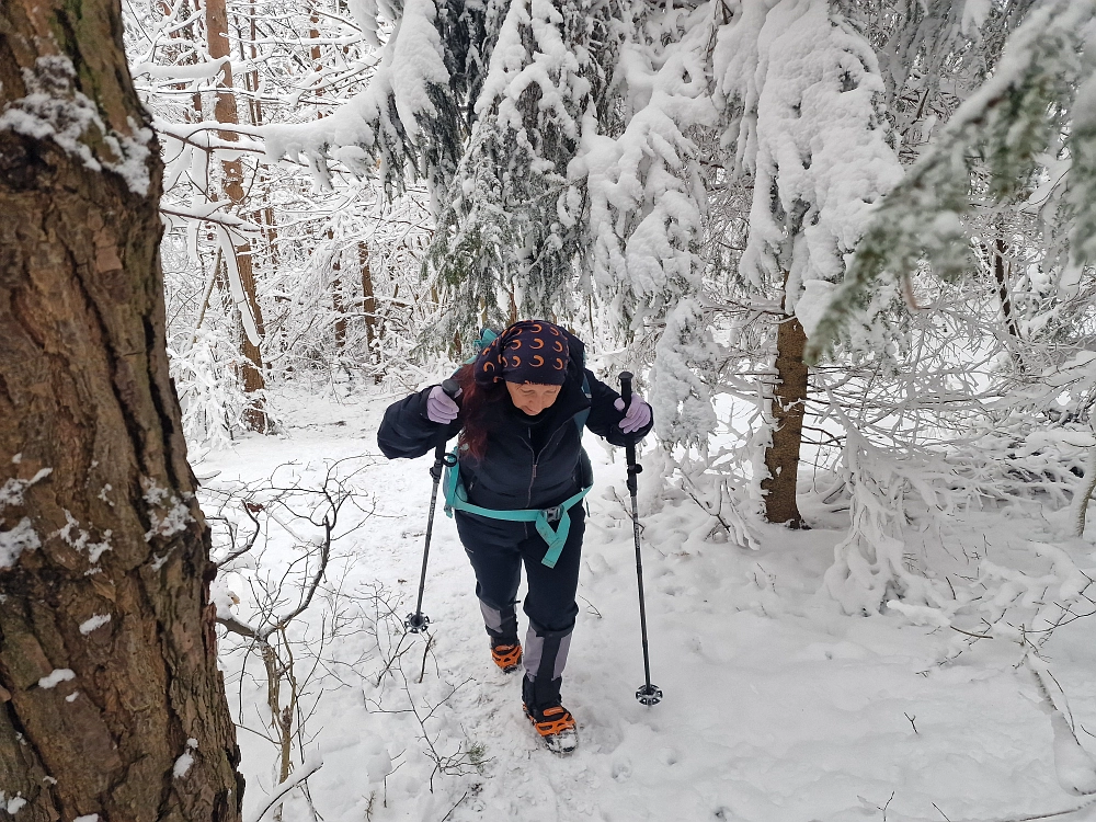 Slika je vidna v Google Chromu.
