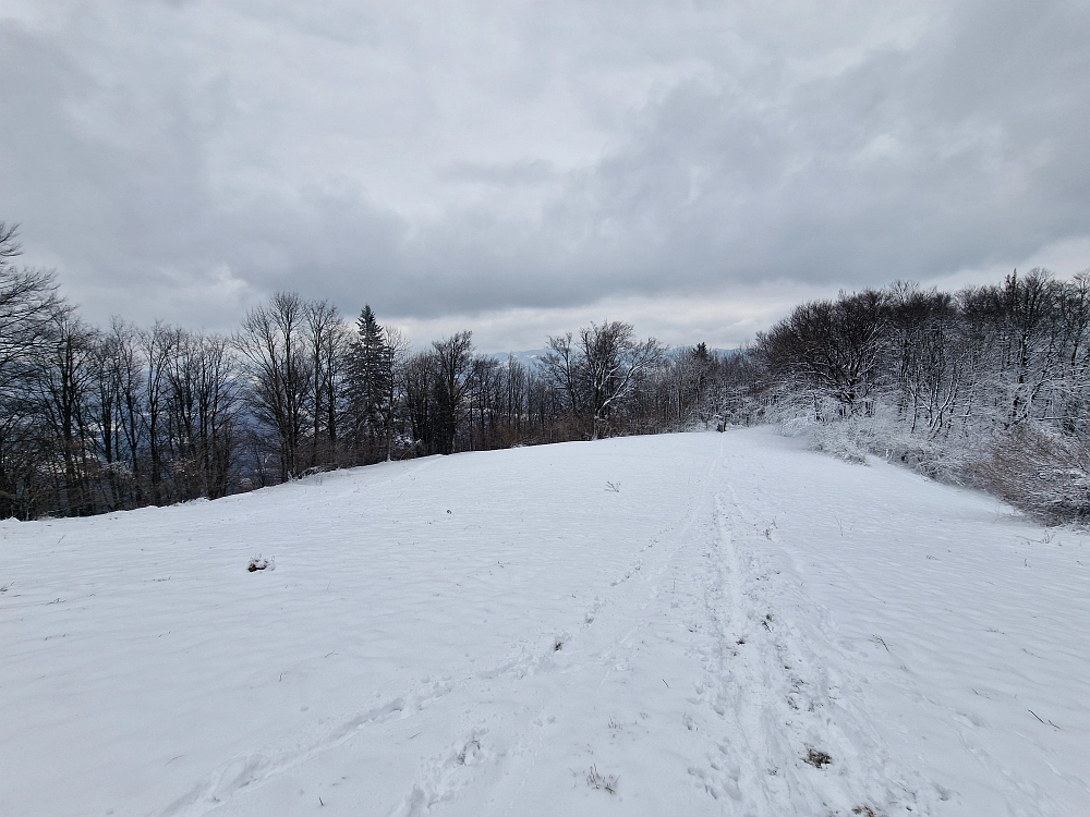 Slika je vidna v Google Chromu.