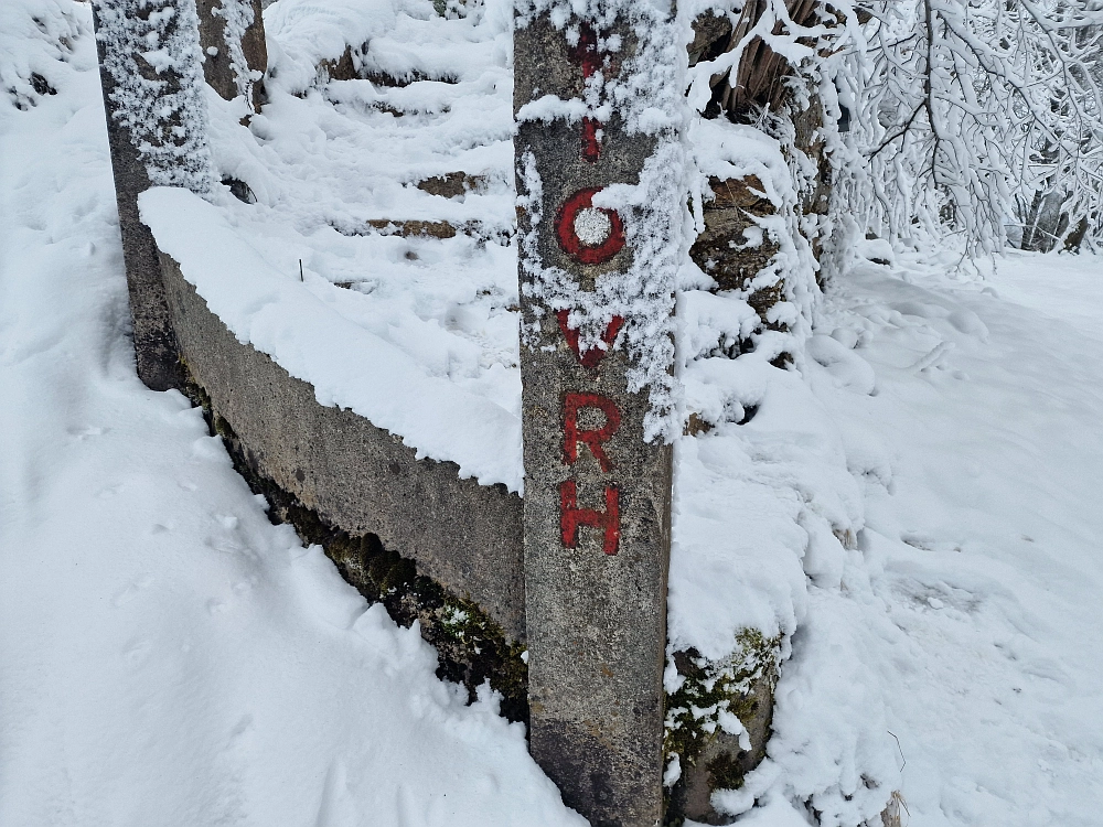 Slika je vidna v Google Chromu.