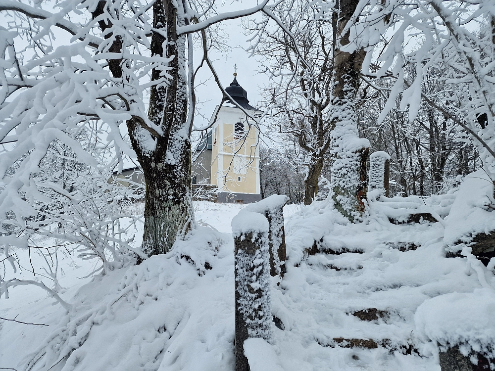 Slika je vidna v Google Chromu.