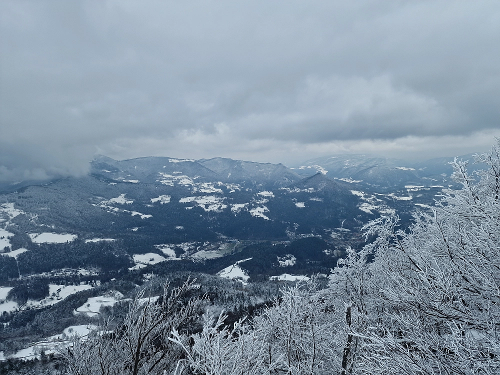Slika je vidna v Google Chromu.