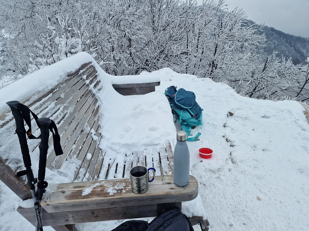 Slika je vidna v Google Chromu.