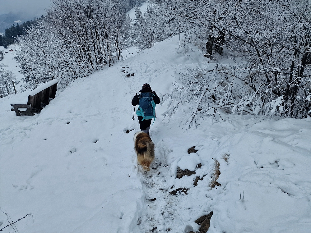 Slika je vidna v Google Chromu.