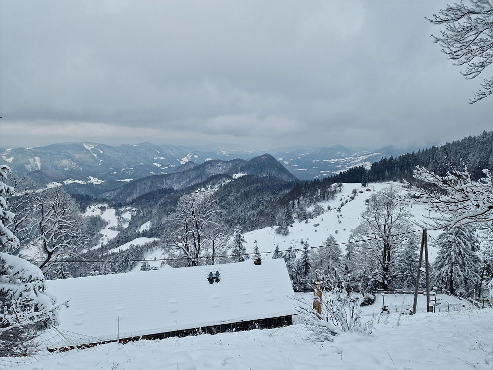 Slika je vidna v Google Chromu.