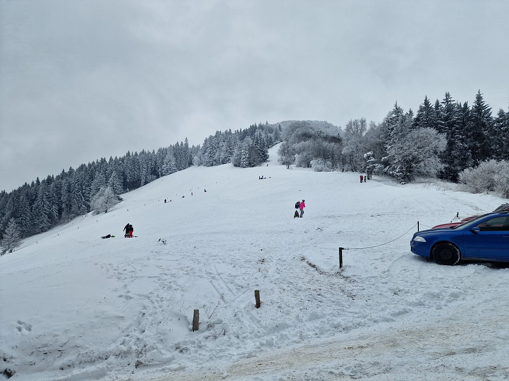 Slika je vidna v Google Chromu.