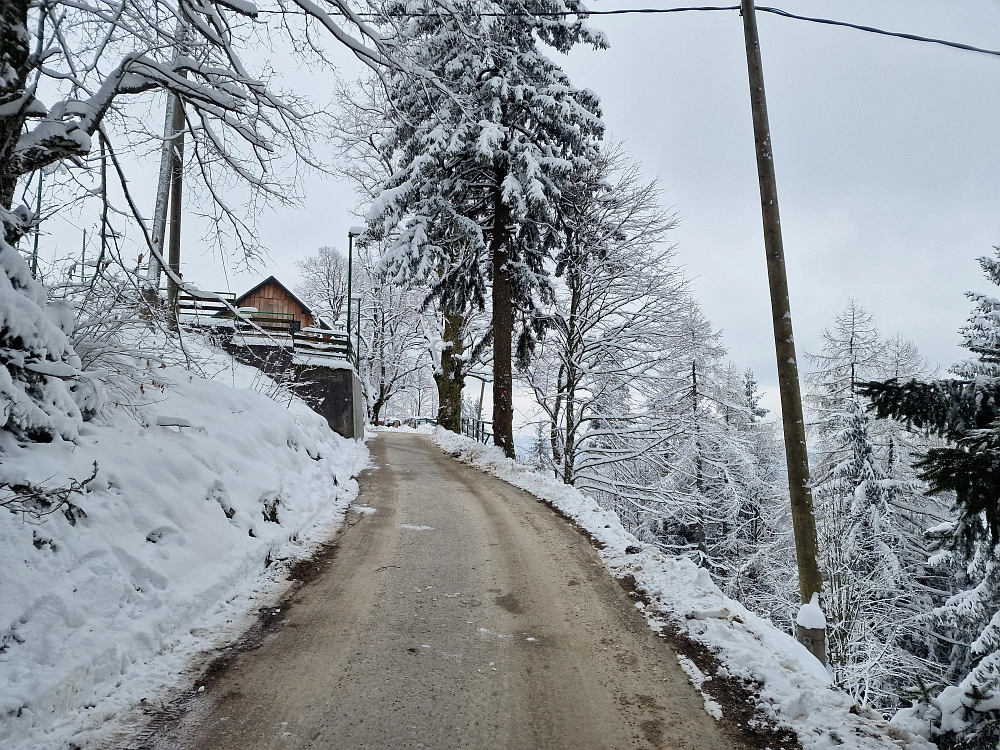 Slika je vidna v Google Chromu.