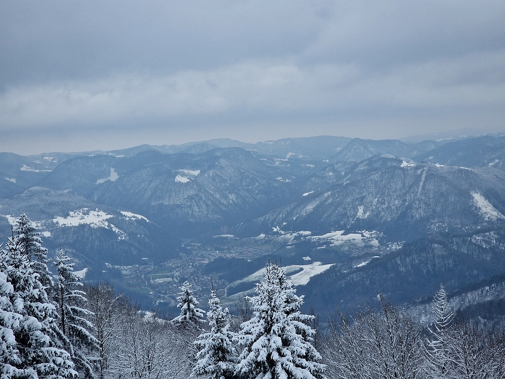Slika je vidna v Google Chromu.