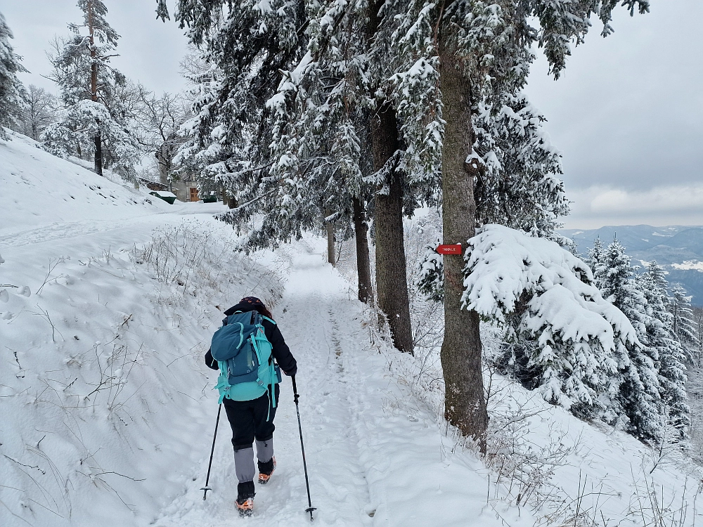 Slika je vidna v Google Chromu.
