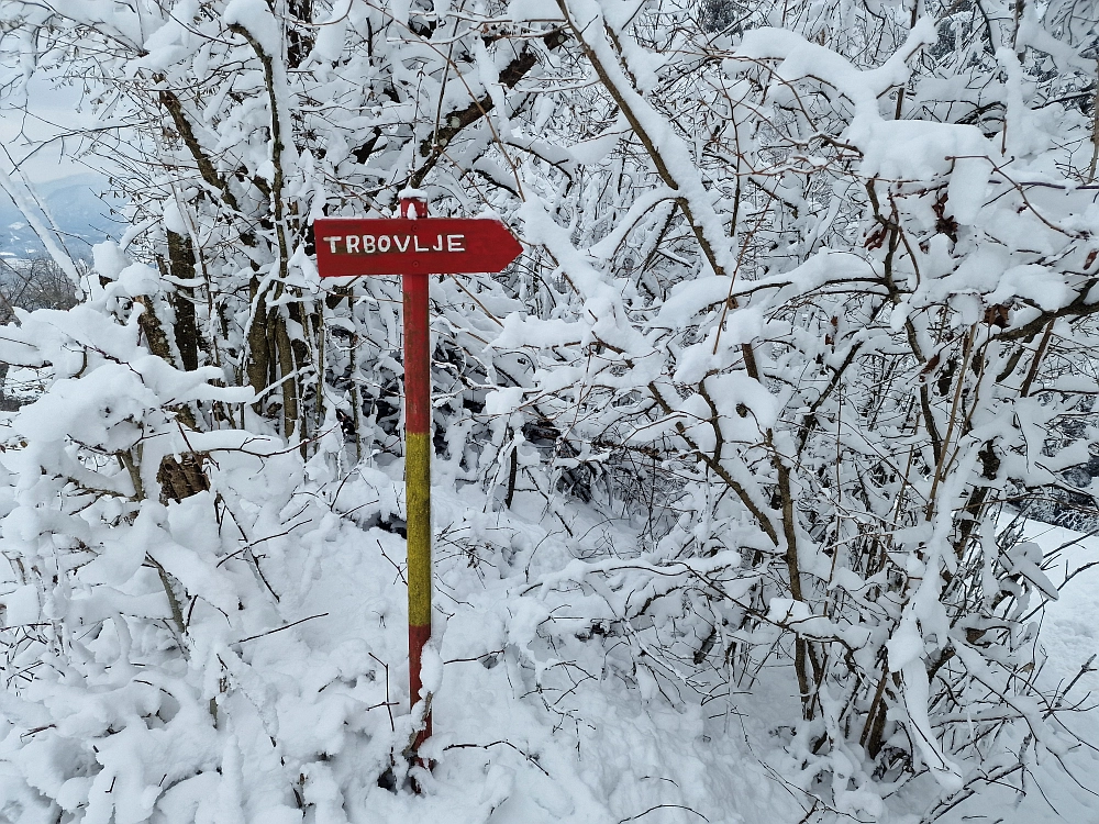 Slika je vidna v Google Chromu.
