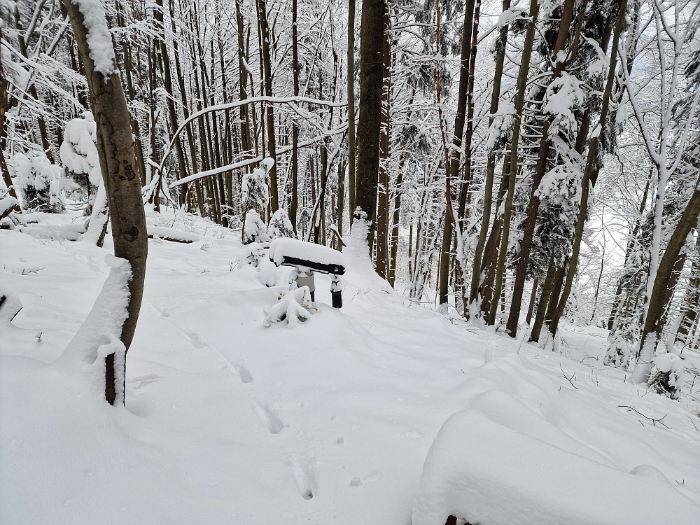 Slika je vidna v Google Chromu.