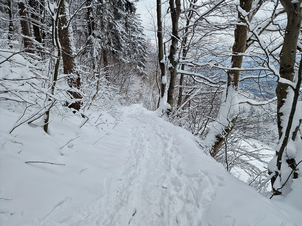 Slika je vidna v Google Chromu.