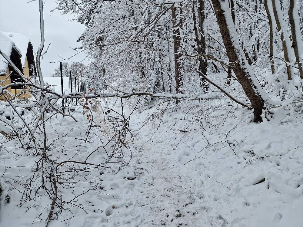 Slika je vidna v Google Chromu.