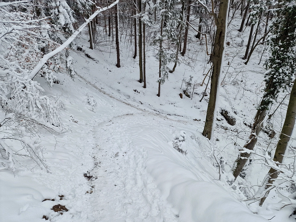 Slika je vidna v Google Chromu.