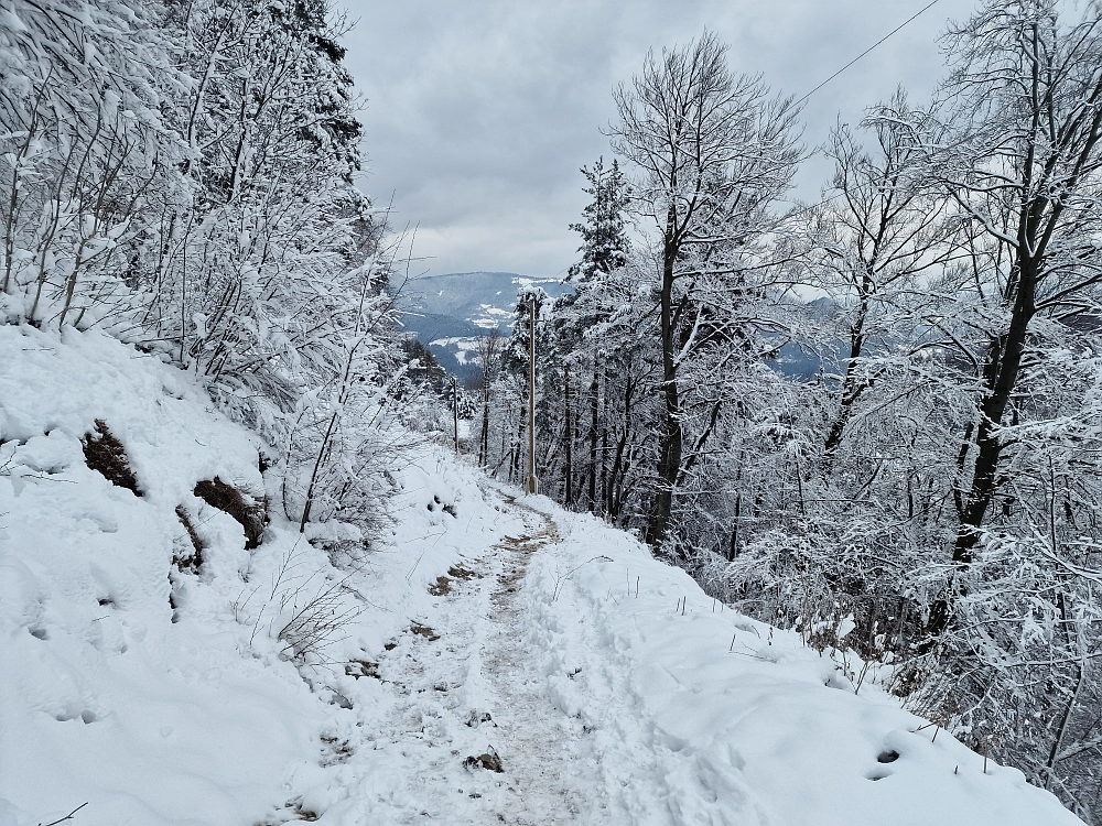 Slika je vidna v Google Chromu.
