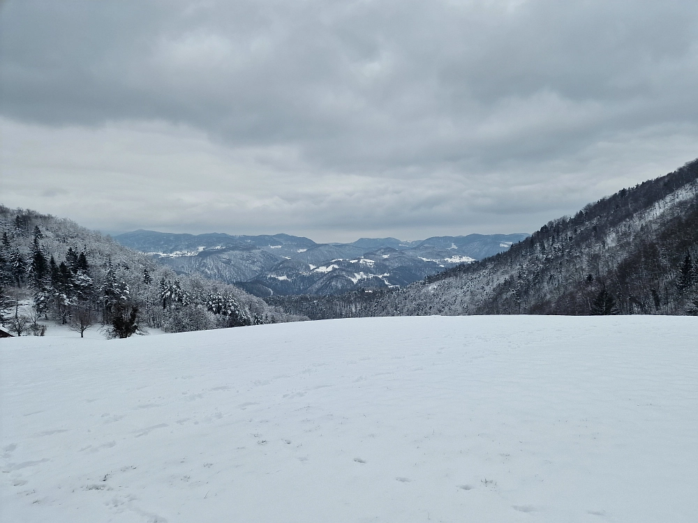 Slika je vidna v Google Chromu.