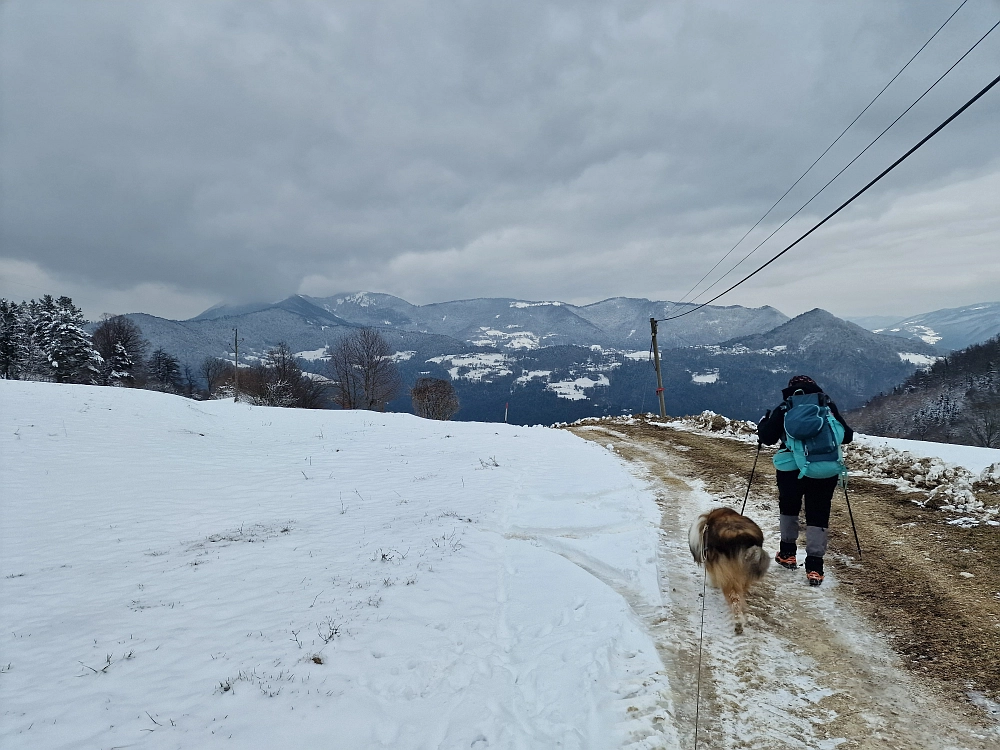 Slika je vidna v Google Chromu.
