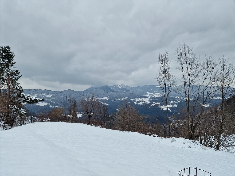 Slika je vidna v Google Chromu.
