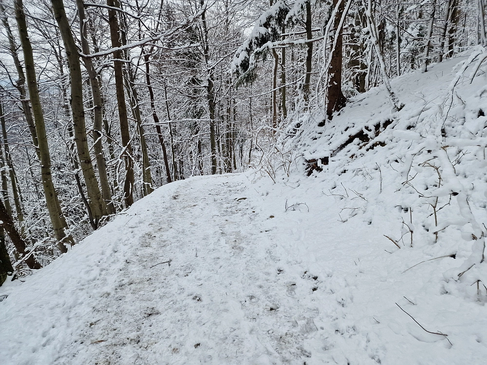 Slika je vidna v Google Chromu.