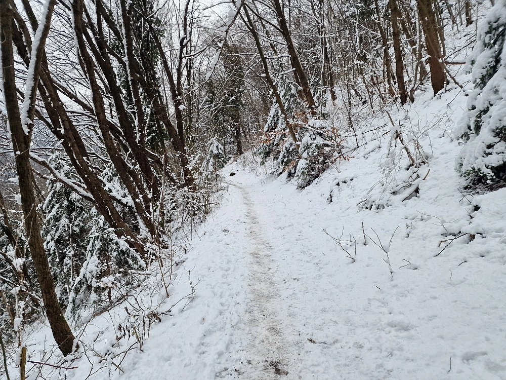 Slika je vidna v Google Chromu.