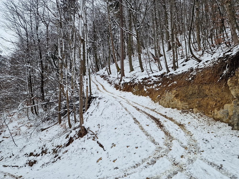 Slika je vidna v Google Chromu.