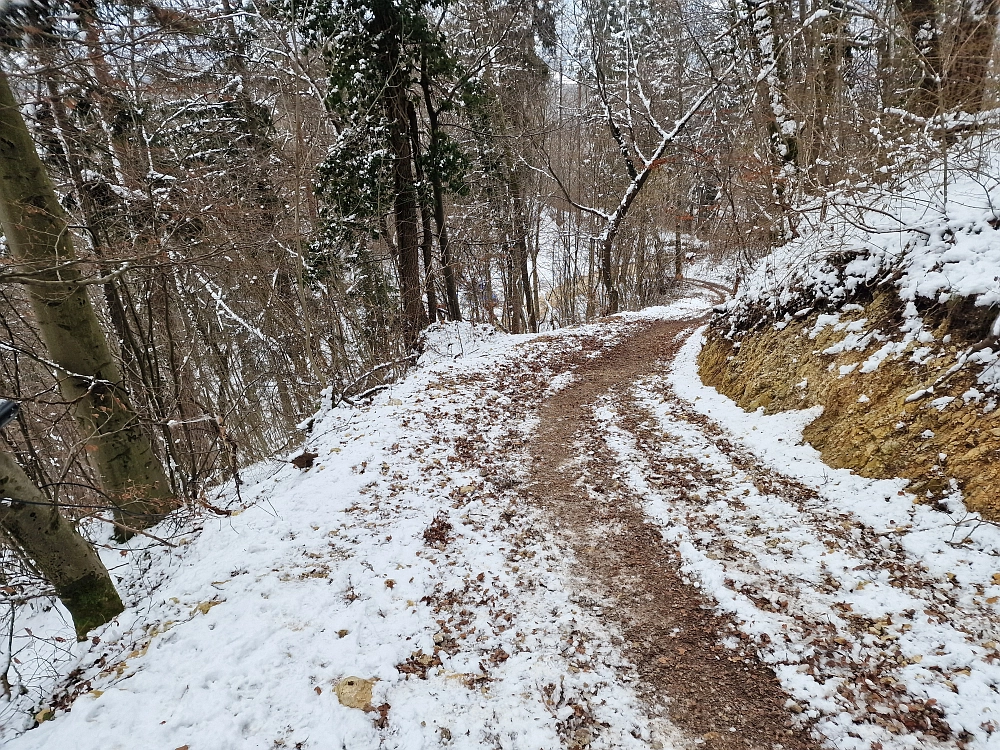 Slika je vidna v Google Chromu.