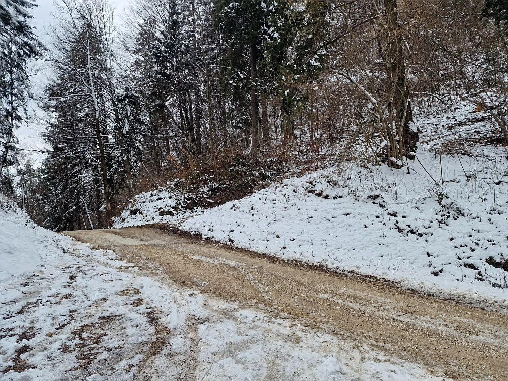 Slika je vidna v Google Chromu.